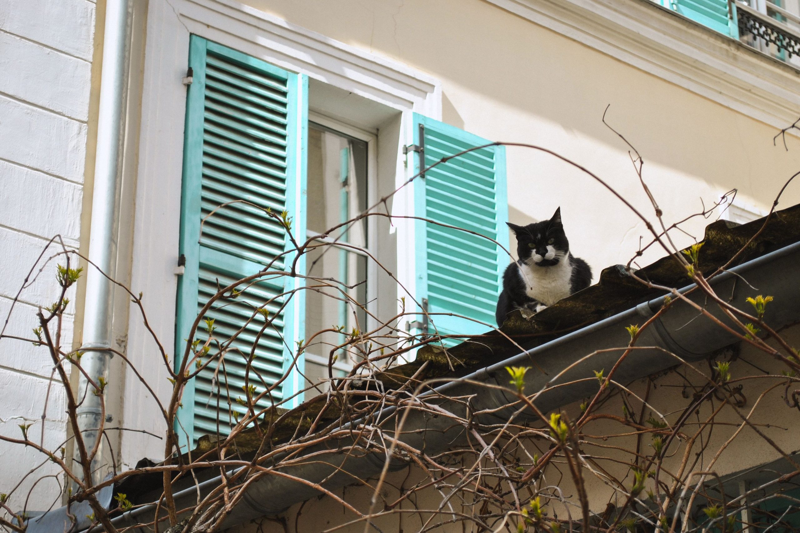 Rue des Thermopyles