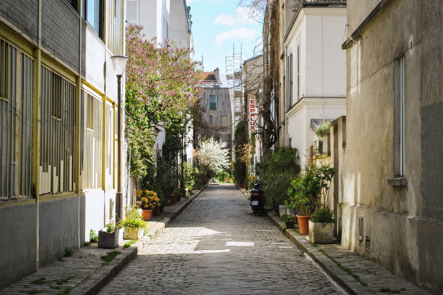 La rue des Thermopyles et la Petite Ceinture du 14ème - Paris bucolique