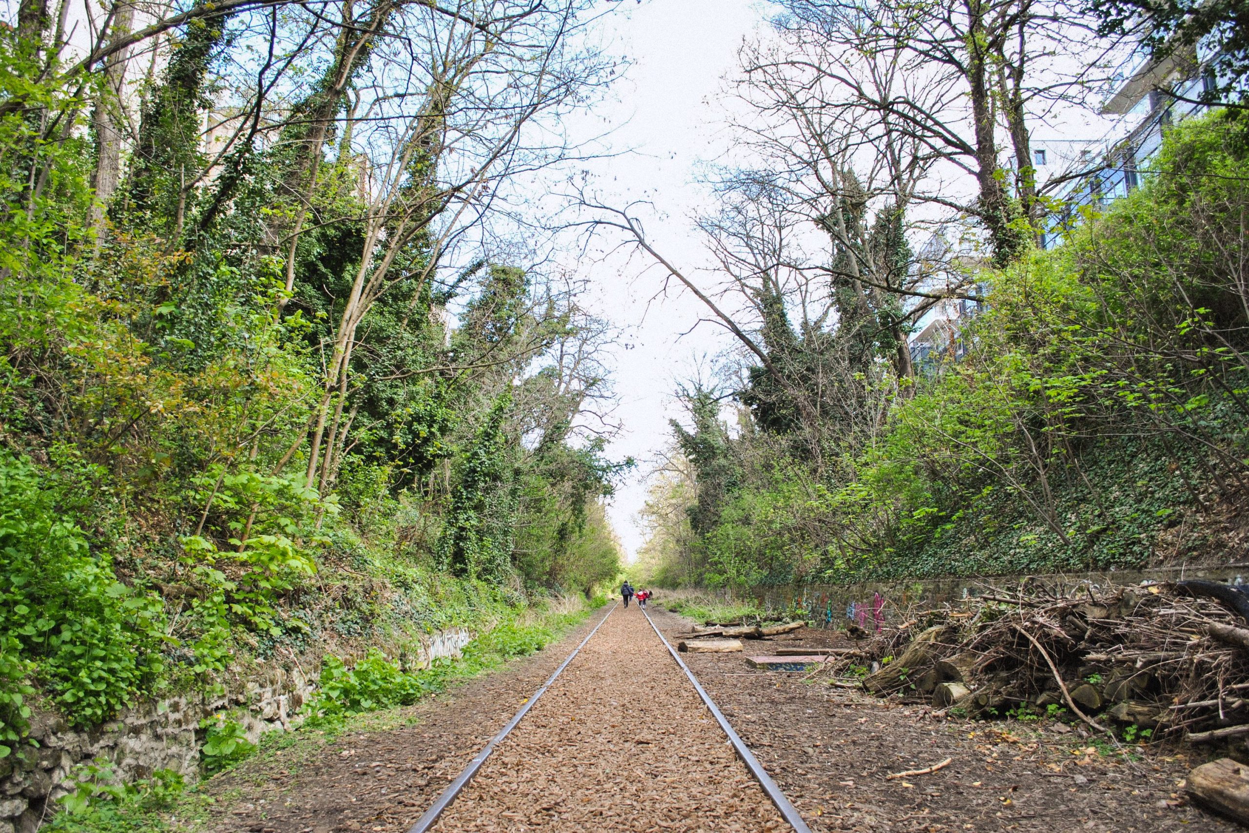 Petite ceinture du 14ème