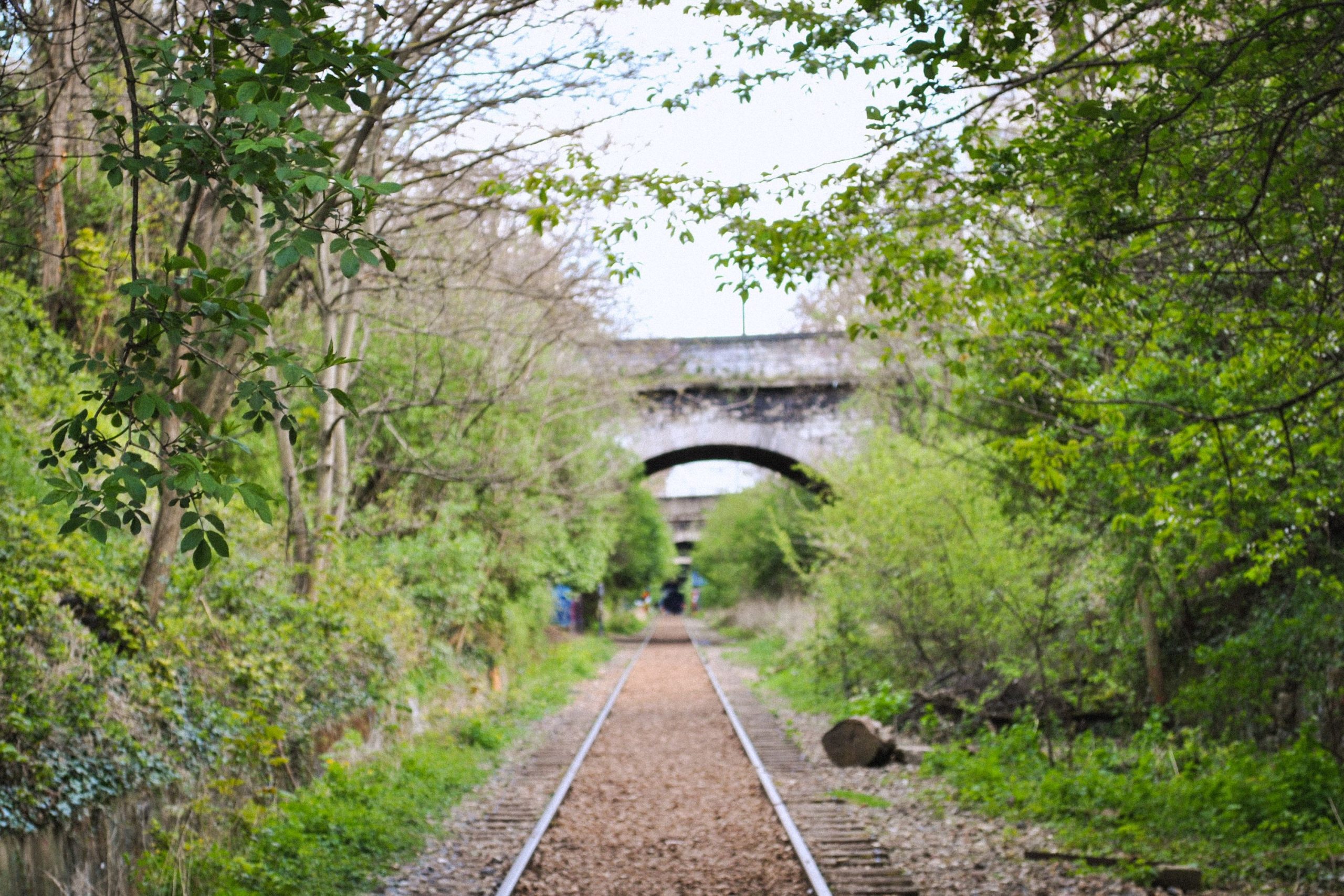 Petite ceinture du 14ème