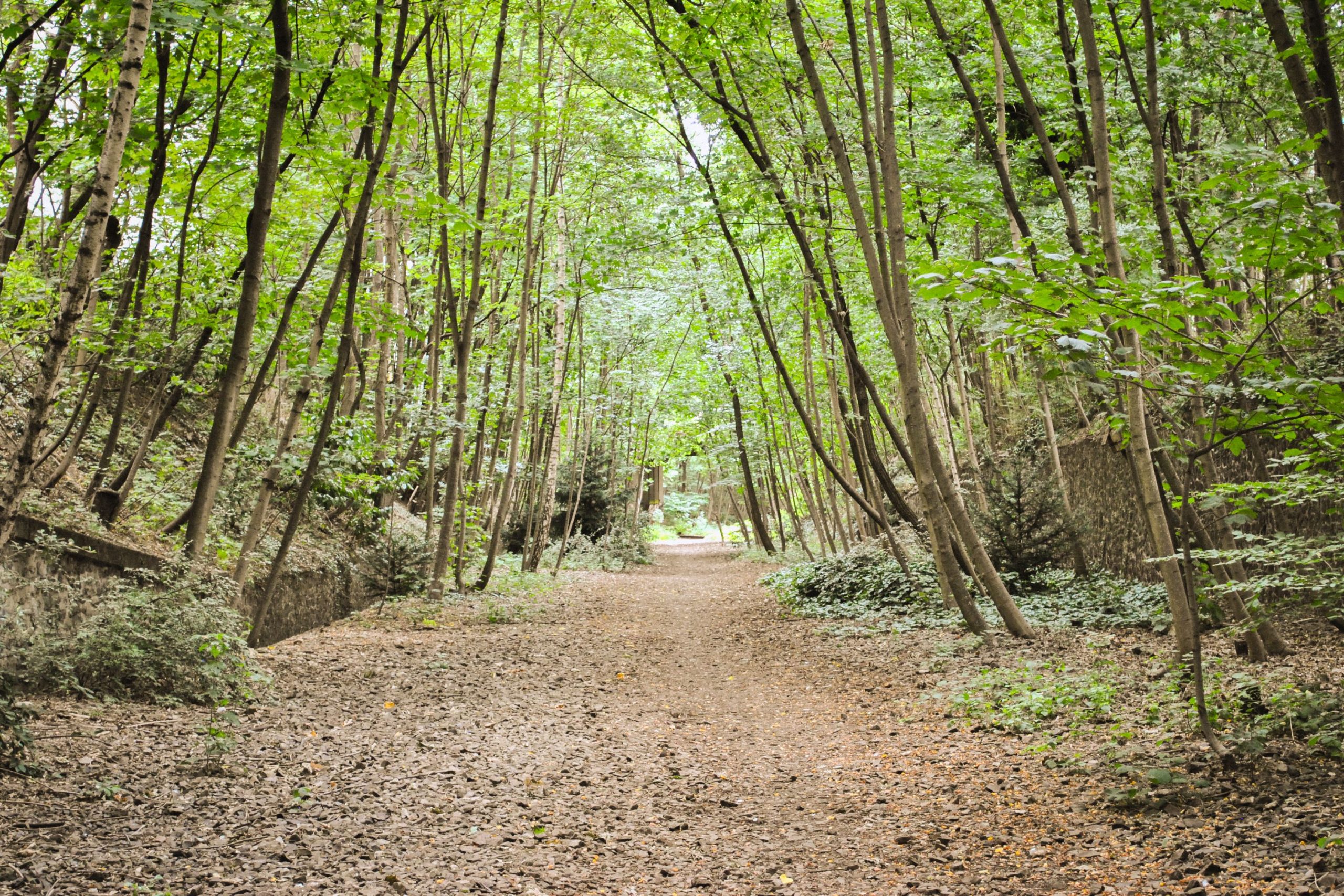 Petite Ceinture