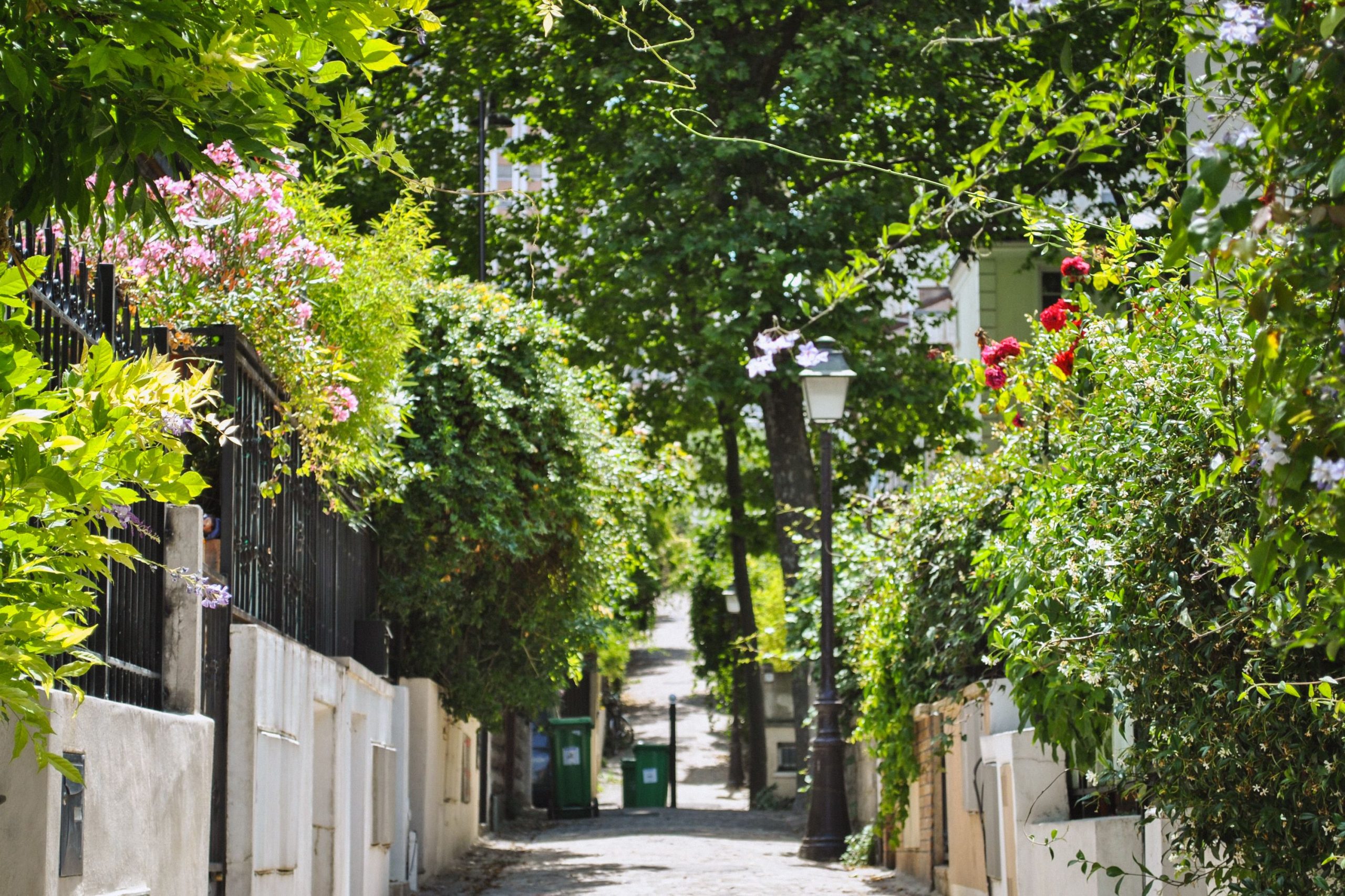 Quartier de la Mouzaïa