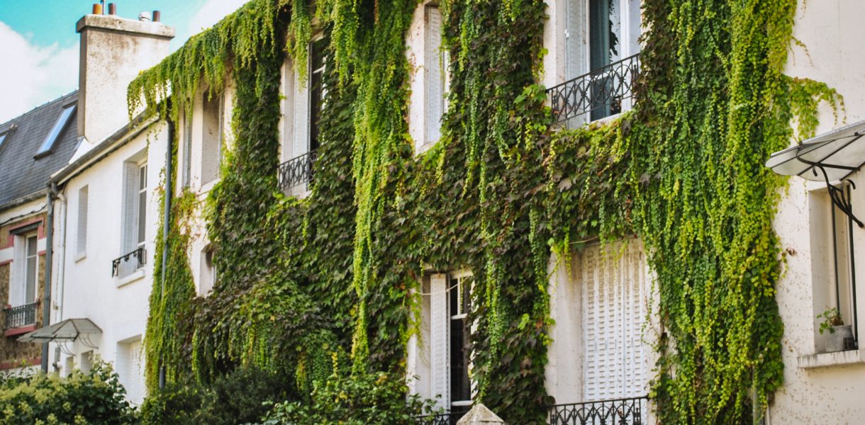 Campagne à Paris