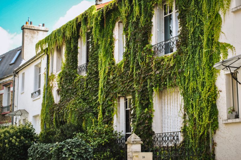 Campagne à Paris