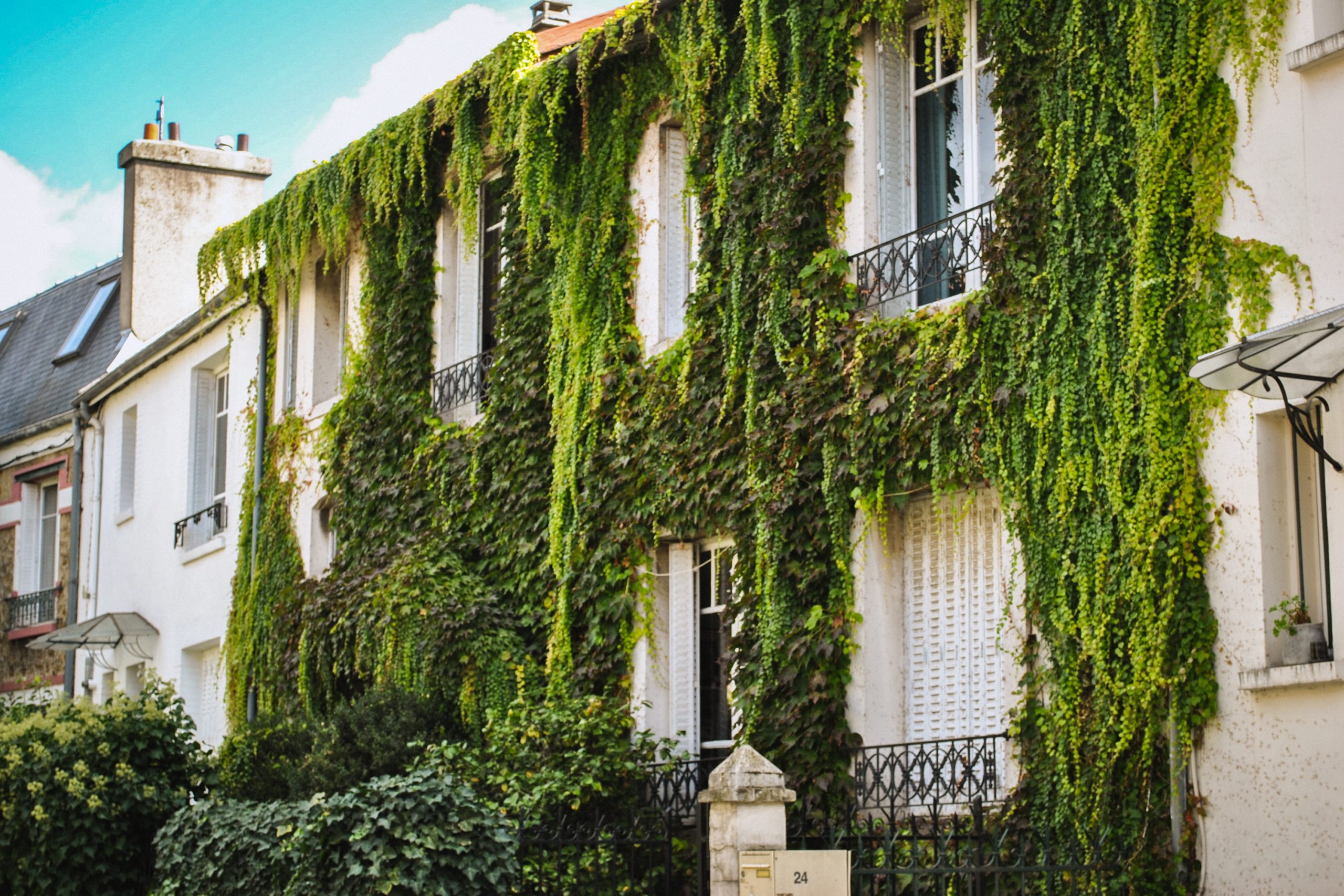 Campagne à Paris