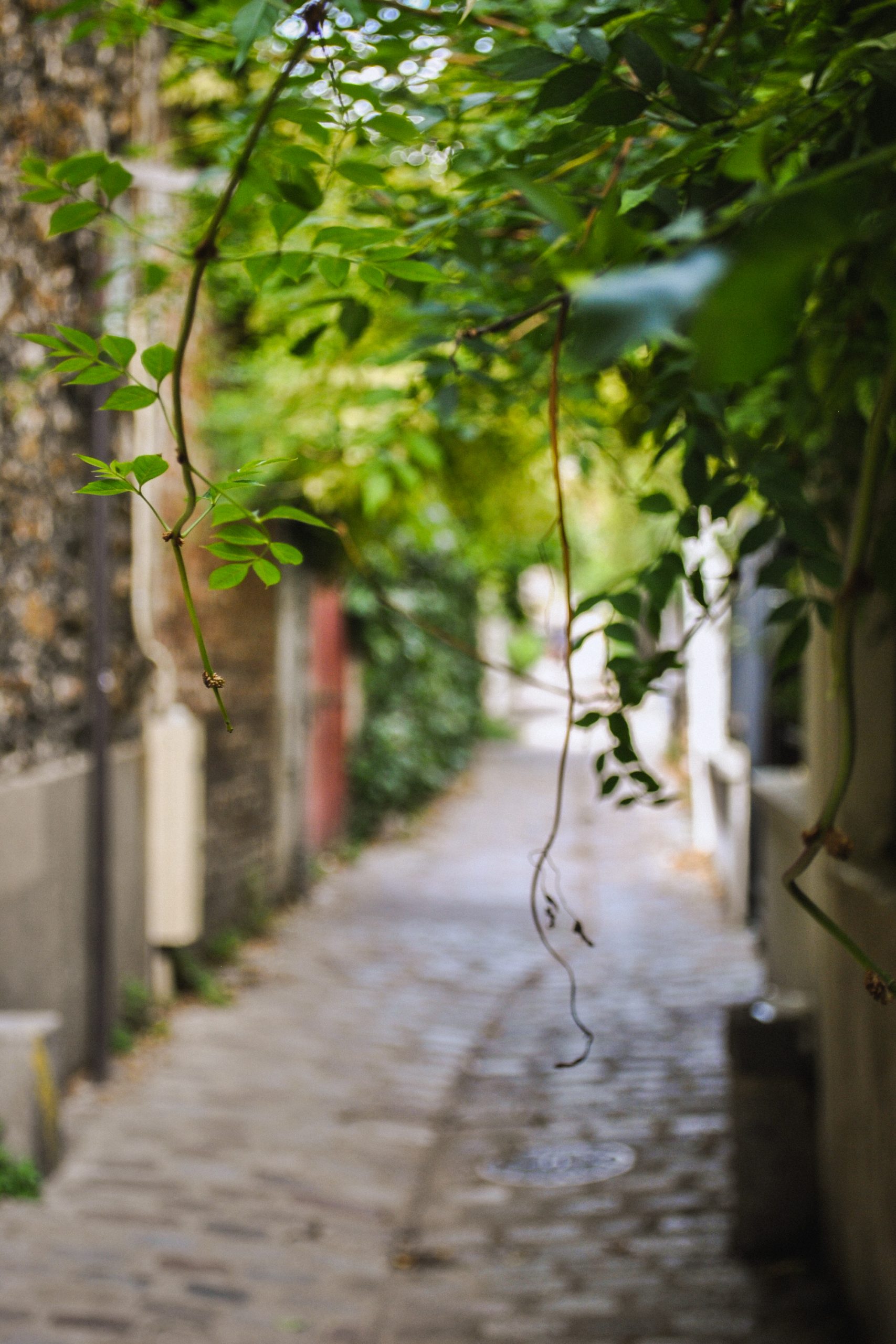 Passage des Soupirs