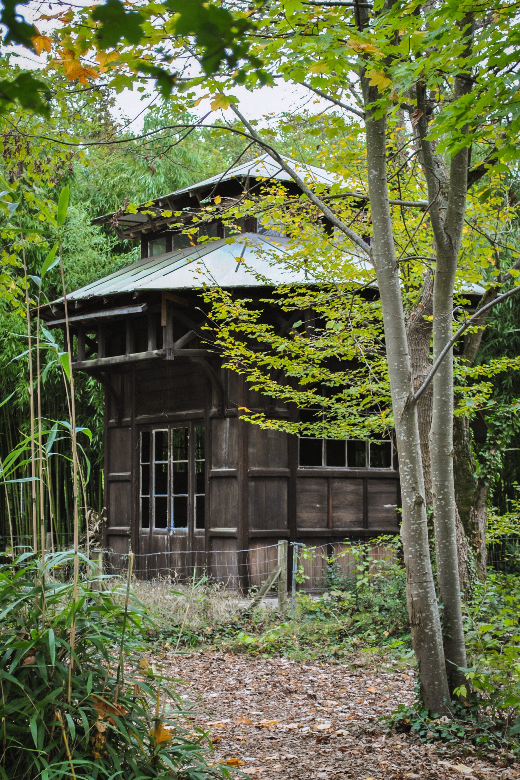 Jardin d'Agronomie Tropicale