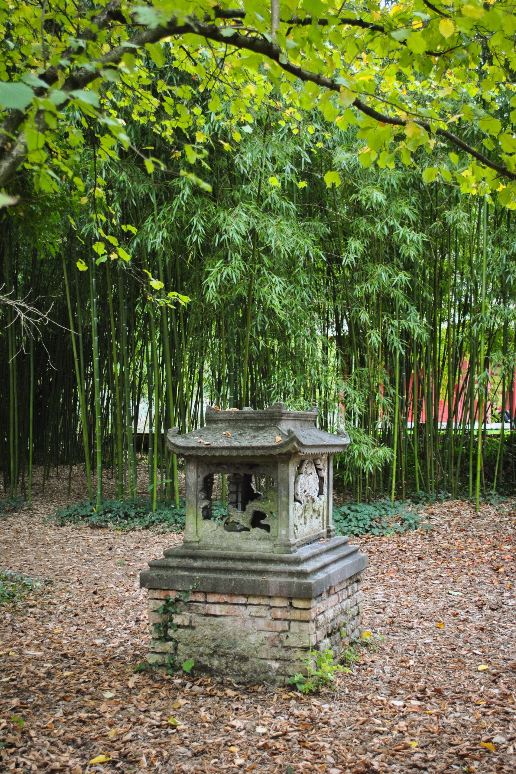 Jardin d'Agronomie Tropicale